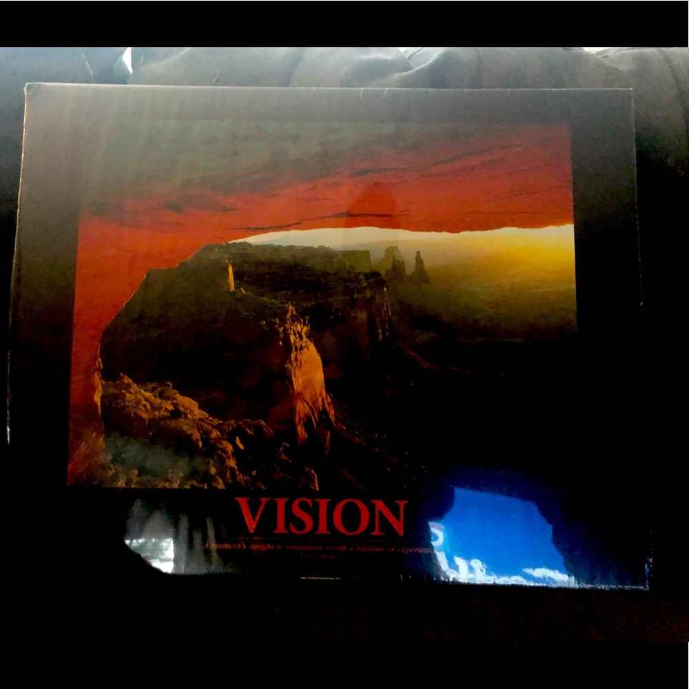 16* 20 inspirational posters-VISION and TEAMWORK
